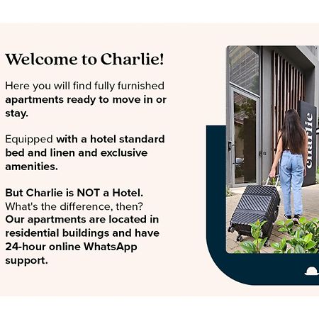 Charlie Vila Nova Conceicao Jacques Felix 圣保罗 外观 照片
